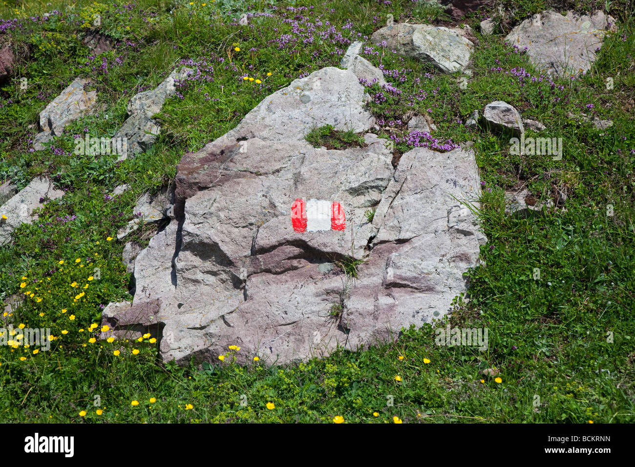 Sentiero escursionistico marcatore sulla roccia, Dolomiti, Italia Foto Stock
