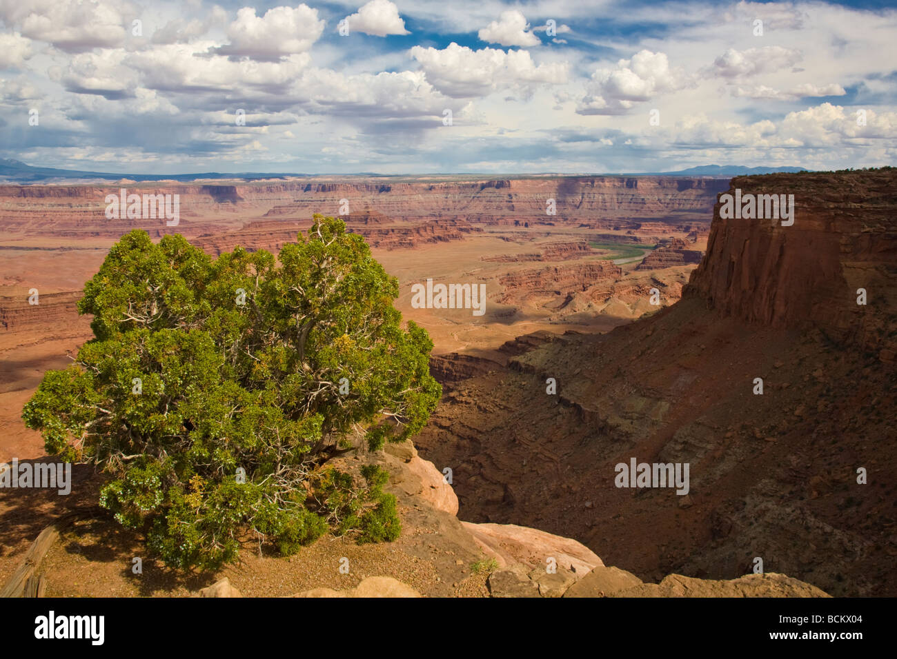 Vista dal Dead Horse Point in Dead Horse State Park cercando in Island in the Sky District il Parco Nazionale di Canyonlands Moab Utah Foto Stock