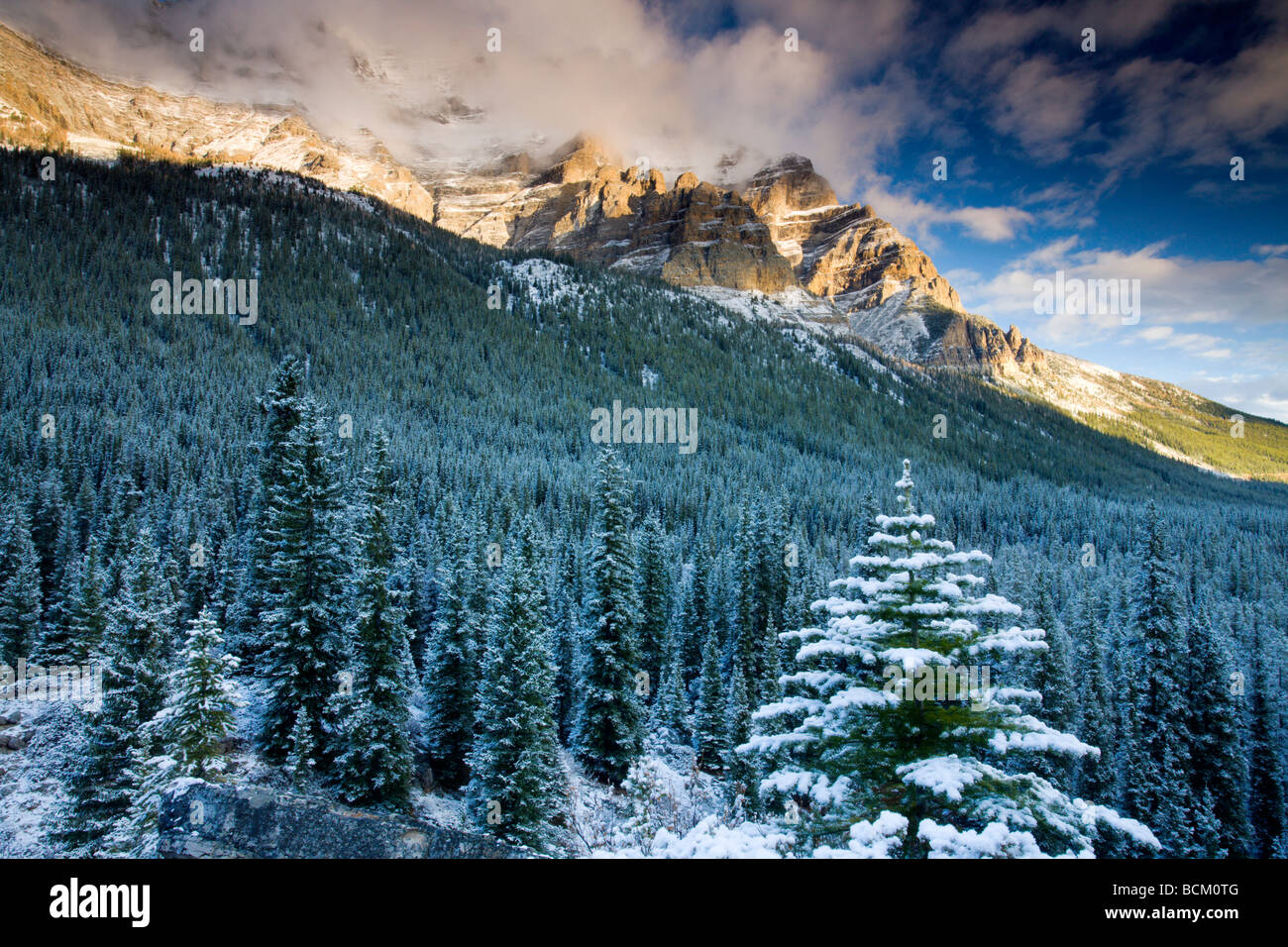 Coperta di neve pineta sostenuta da svettanti Montagne Rocciose il Parco Nazionale di Banff Alberta Canada Ottobre 2006 Foto Stock