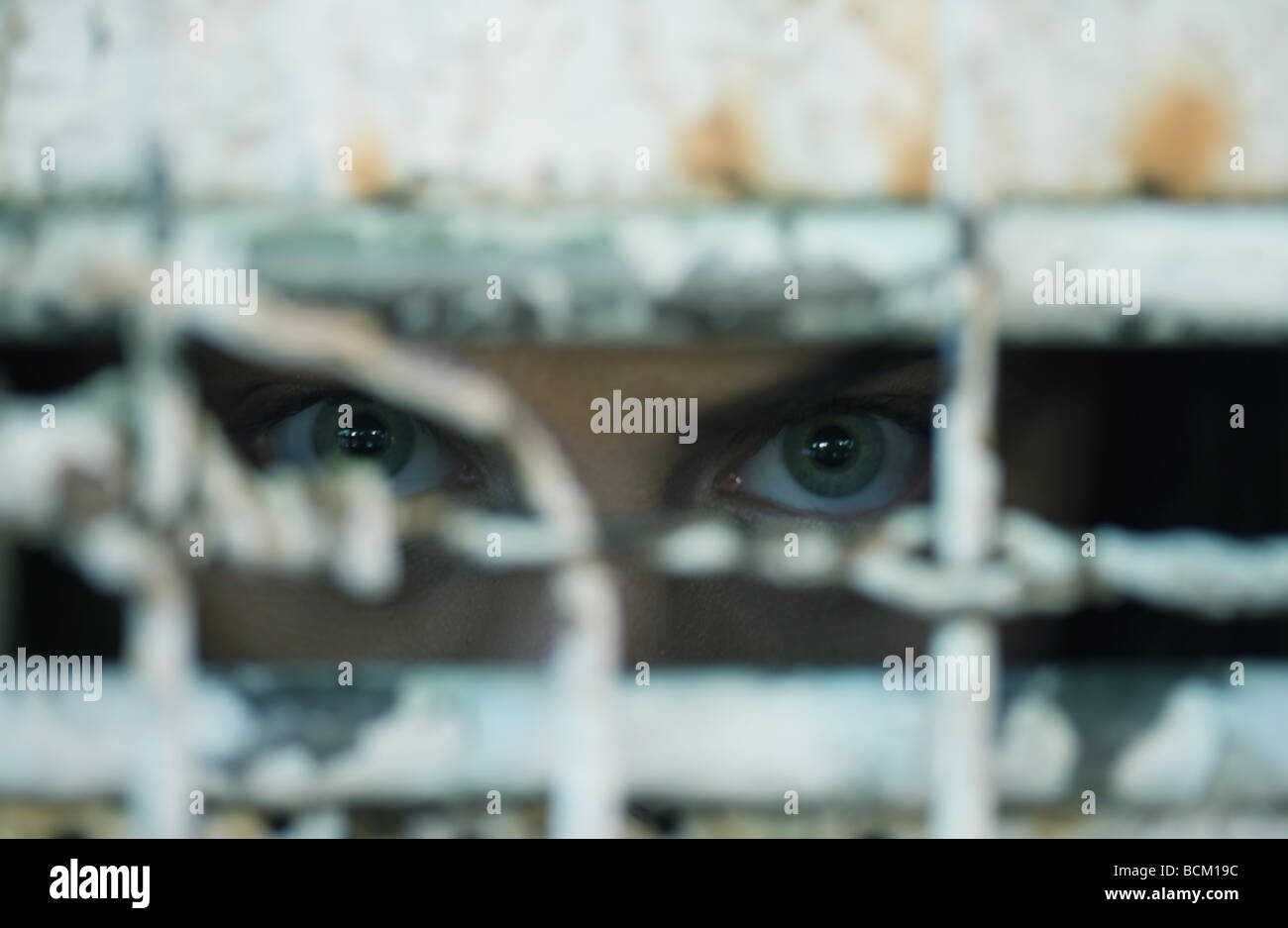 Occhi guardando attraverso il recinto di filo, close-up Foto Stock