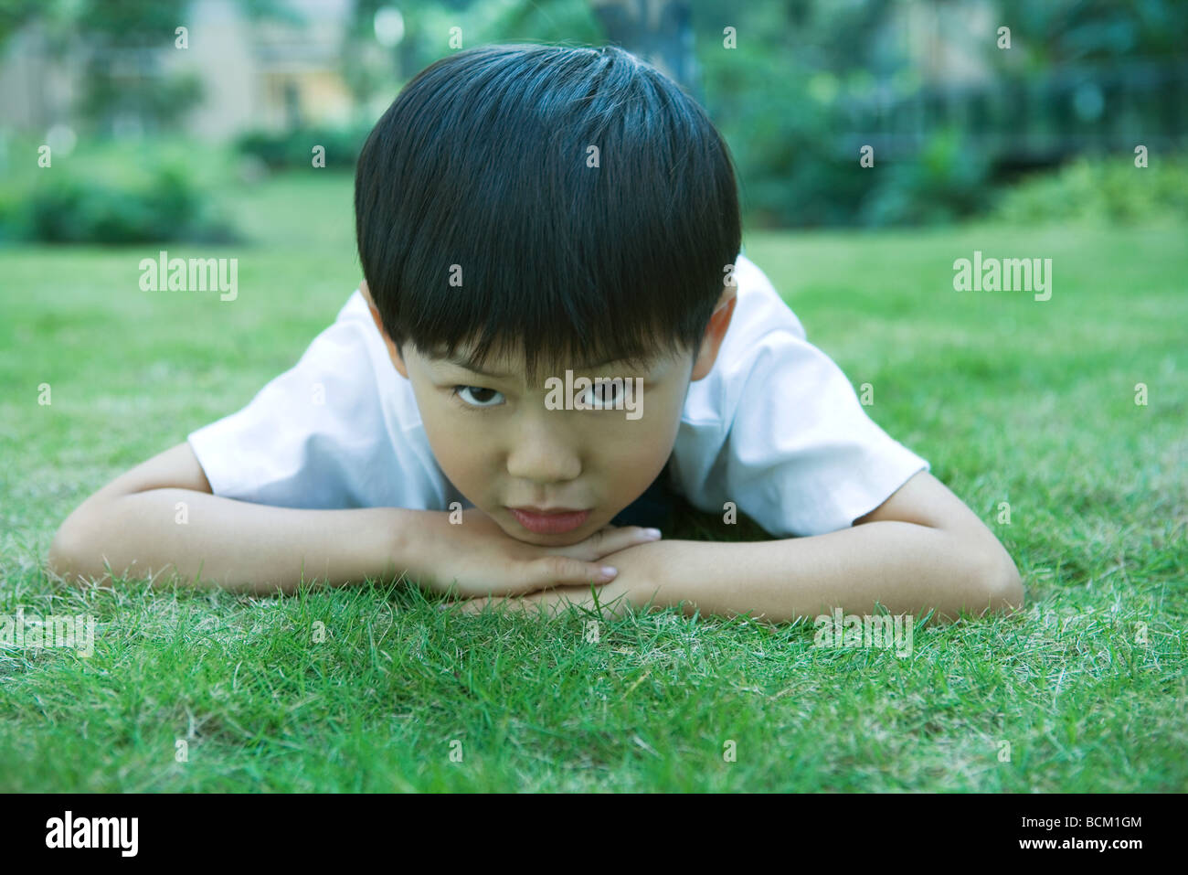 Ragazzo disteso sul prato con il mento appoggiato sulle mani, guardando la fotocamera Foto Stock