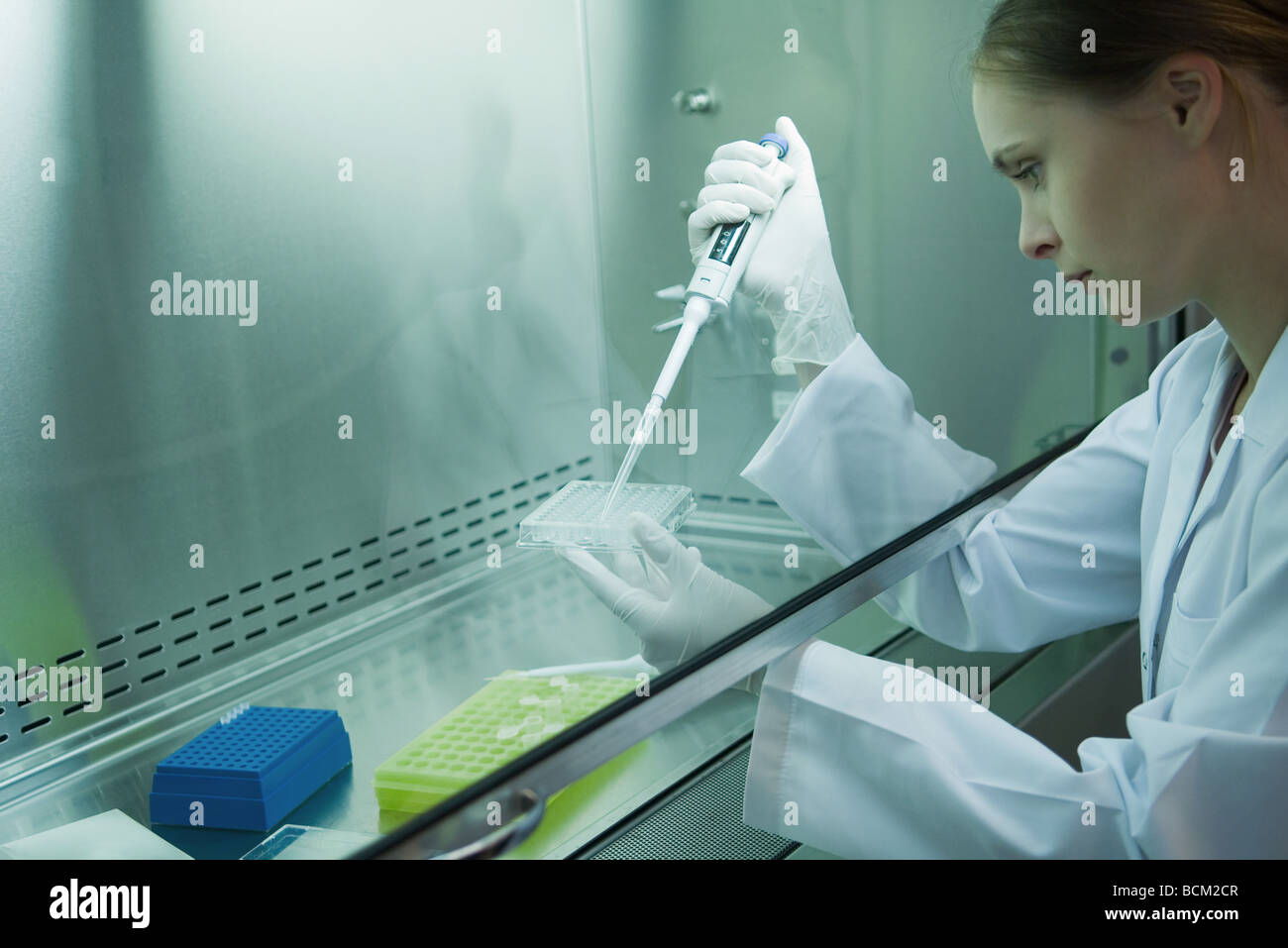 Donne scienziato che lavora in laboratorio, vista laterale Foto Stock