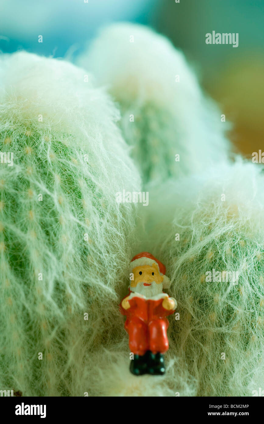 Babbo Natale figurina su cactus Foto Stock