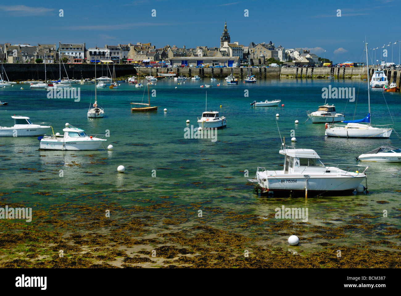 Porto di Roscoff in Bretagna a bassa marea Foto Stock