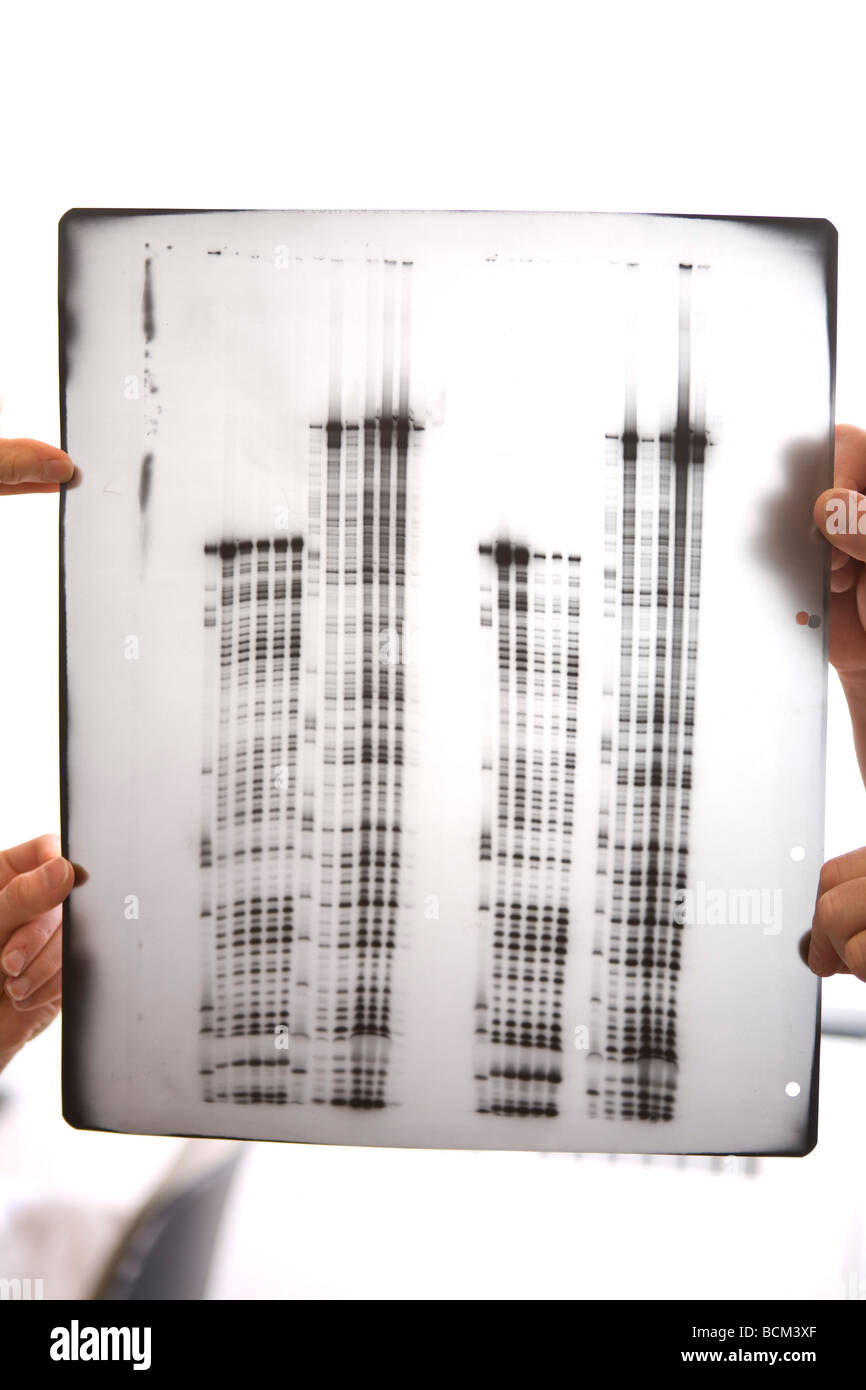 Dati scientifici sulla pellicola trasparente Foto Stock