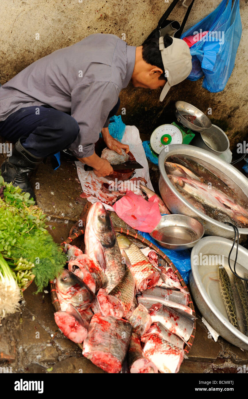 Venditore di pesce al mercato dei prodotti freschi in vecchi Quater, Hanoi, Vietnam. Foto Stock