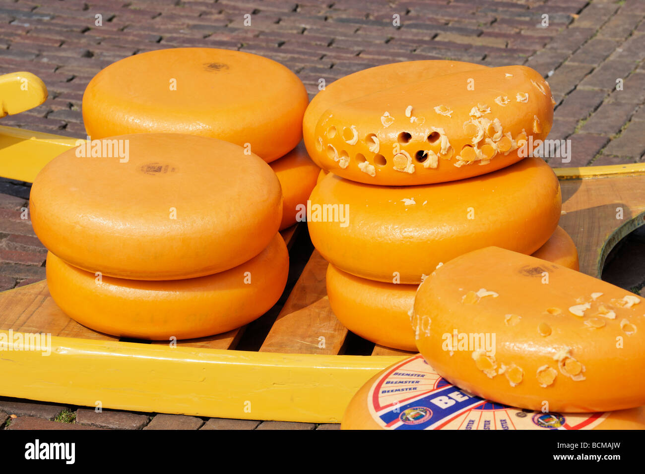 Noord Hollandse formaggio Gouda su un giallo barrow a Alkmaar Cheesemarket, Alkmaar, North Holland, Paesi Bassi. Foto Stock