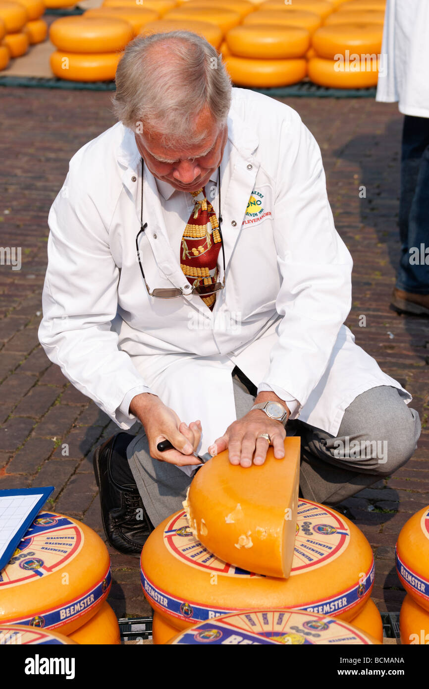 Ispezione di formaggio Gouda a Alkmaar Cheesemarket, Alkmaar, North Holland, Paesi Bassi. Foto Stock