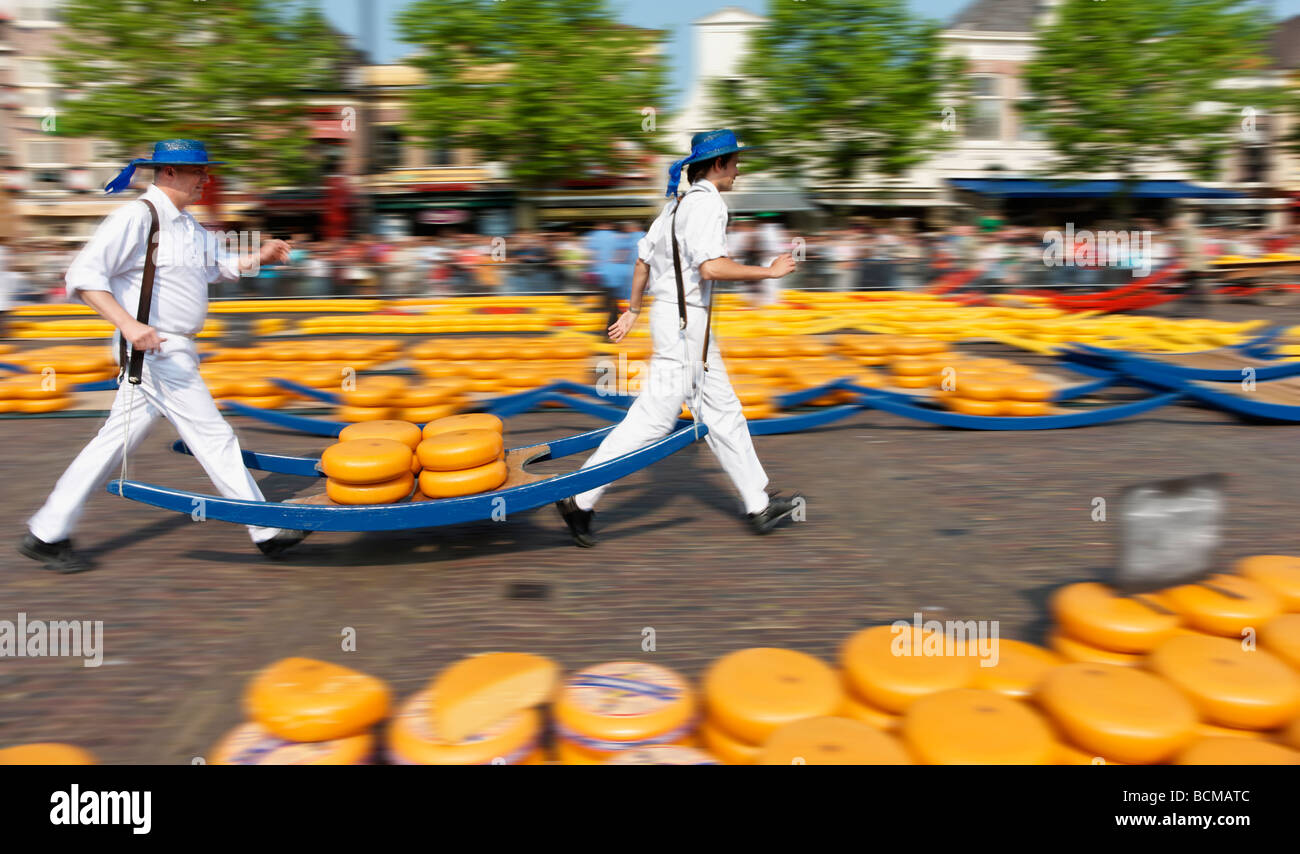 Formaggio portanti a Alkmaar Cheesemarket, Alkmaar, North Holland, Paesi Bassi. Con motion blur. Foto Stock