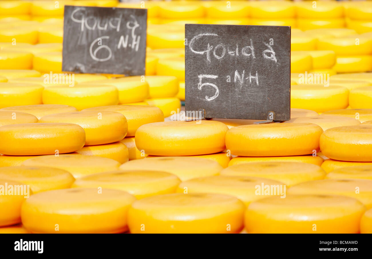 Noord Hollandse formaggio Gouda a Alkmaar Cheesemarket, Alkmaar, North Holland, Paesi Bassi. Foto Stock