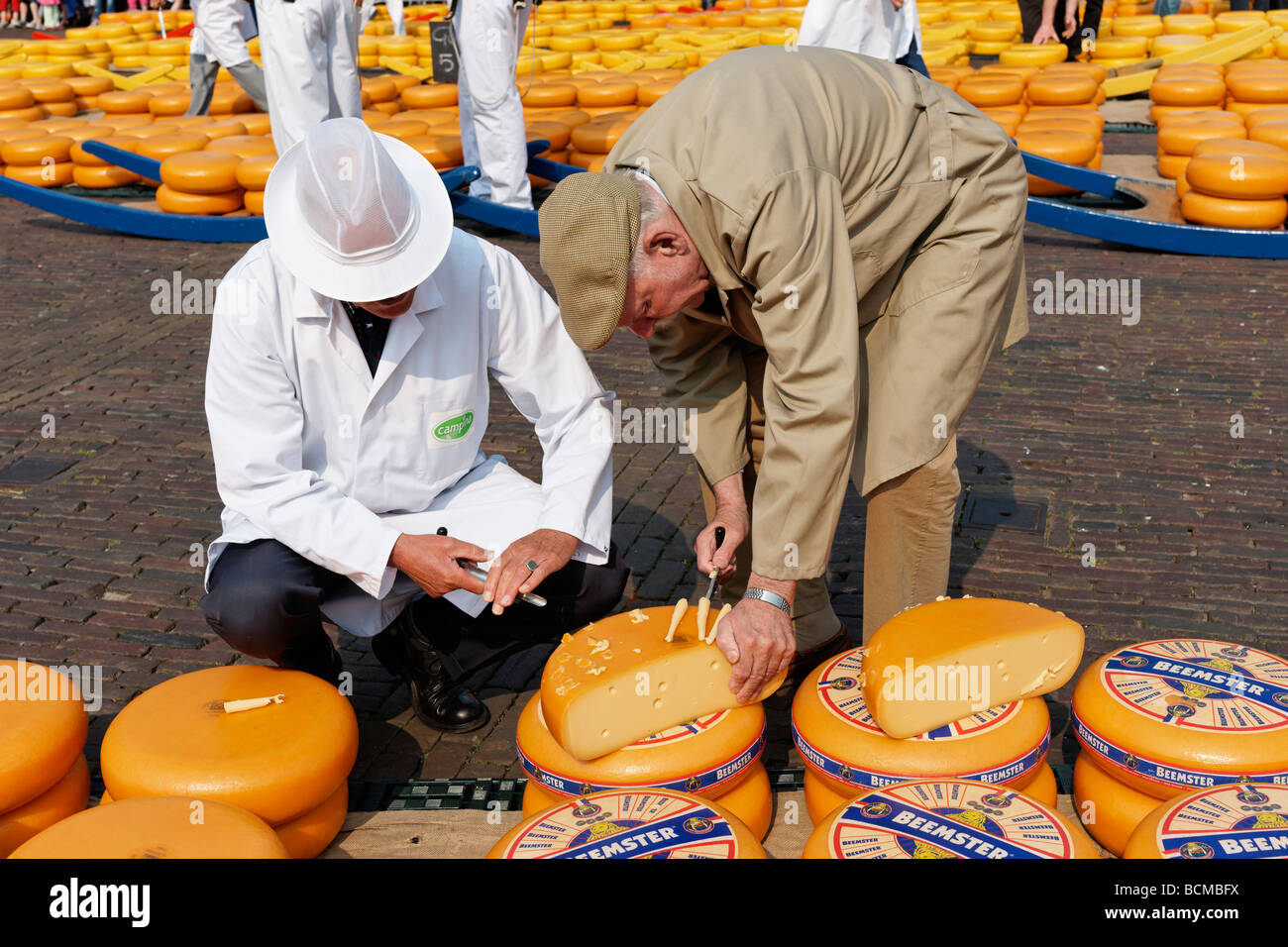 Commercianti di formaggio a Alkmaar Cheesemarket, Alkmaar, North Holland, Paesi Bassi. Foto Stock