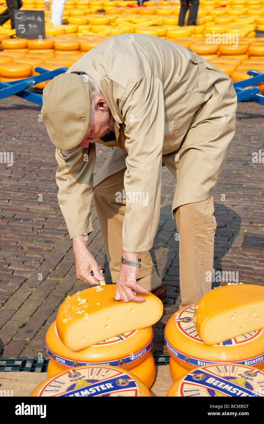 Formaggio di campionamento acquirente formaggio Gouda a Alkmaar Cheesemarket, Alkmaar, North Holland, Paesi Bassi. Foto Stock