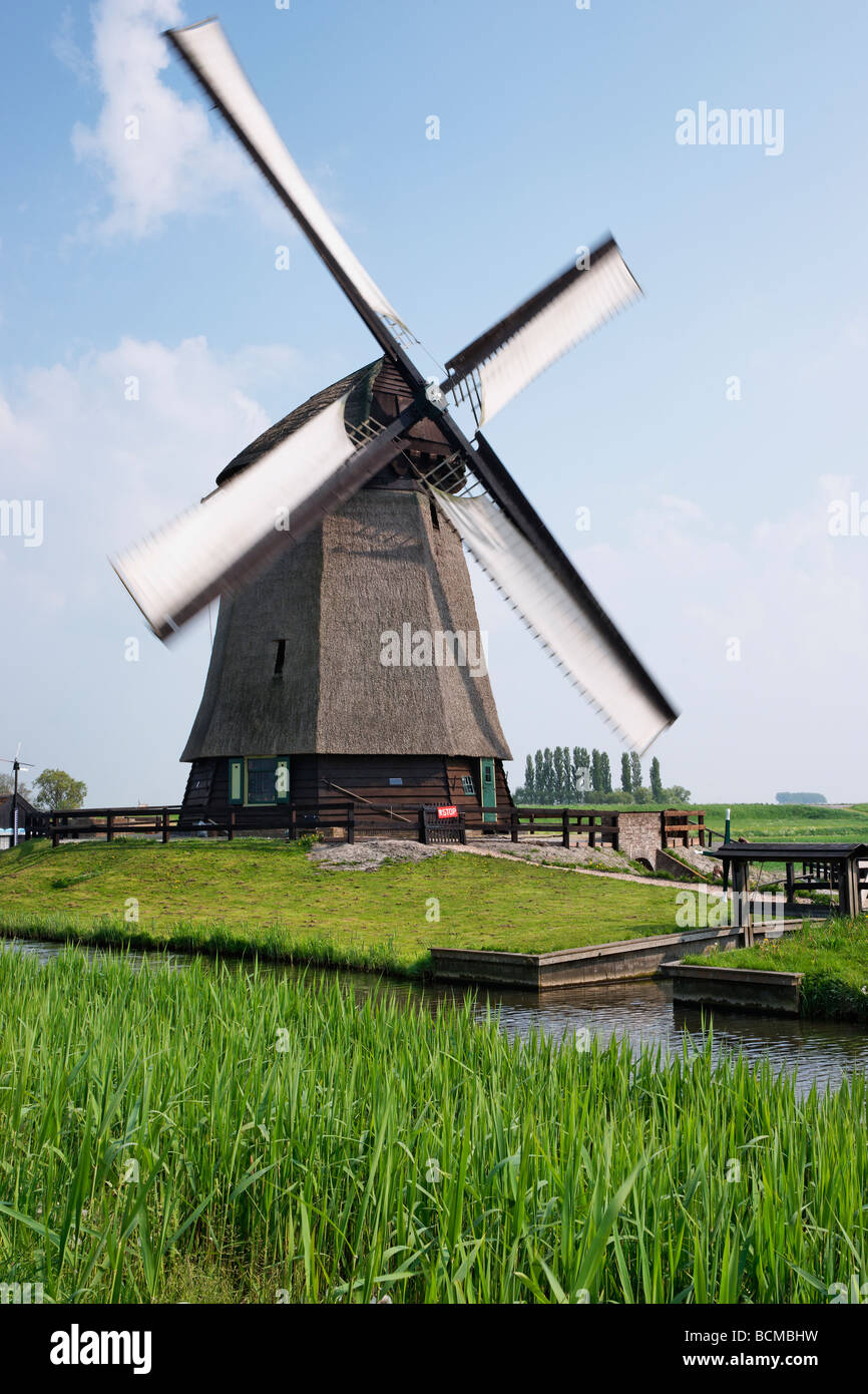 Polder presso il mulino a vento di Schermerhorn Museummolen, North Holland, Paesi Bassi. Foto Stock