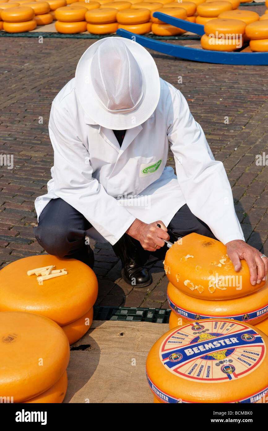 Formaggio di campionamento a Alkmaar Cheesemarket, Alkmaar, North Holland, Paesi Bassi. Foto Stock