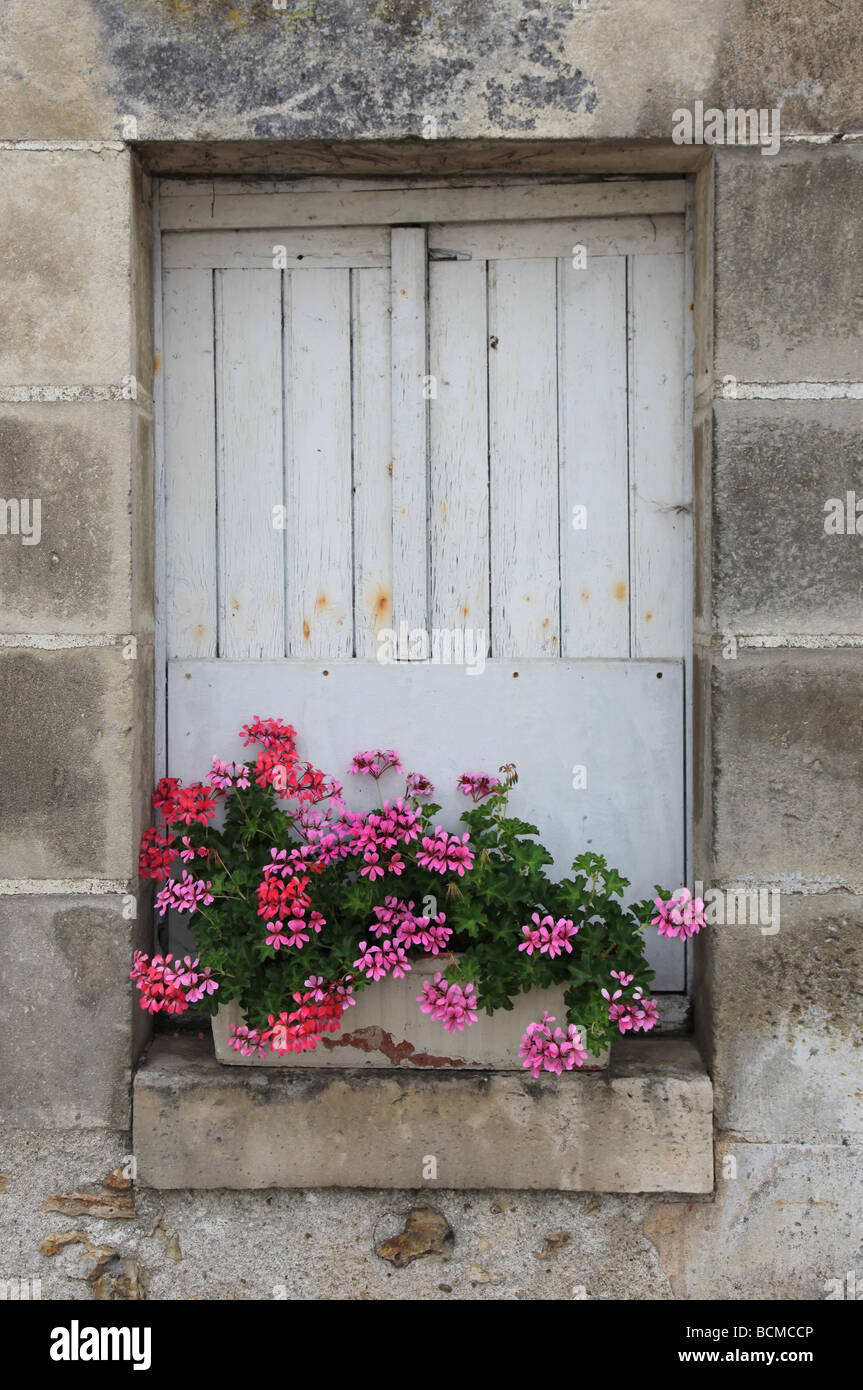 Finestra tradizionale con una cassetta per fiori pieno di gerani in Francia Foto Stock