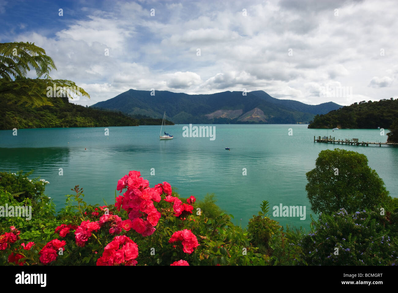 Te Mahia, Marlborough Sounds, Isola del Sud, Nuova Zelanda Foto Stock