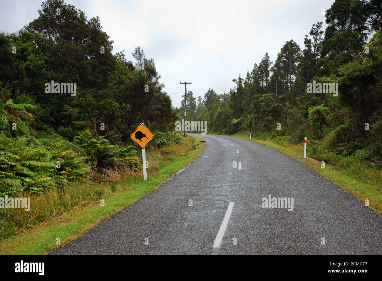 Kiwi protezione stradale, Isola del Sud, Nuova Zelanda Foto Stock