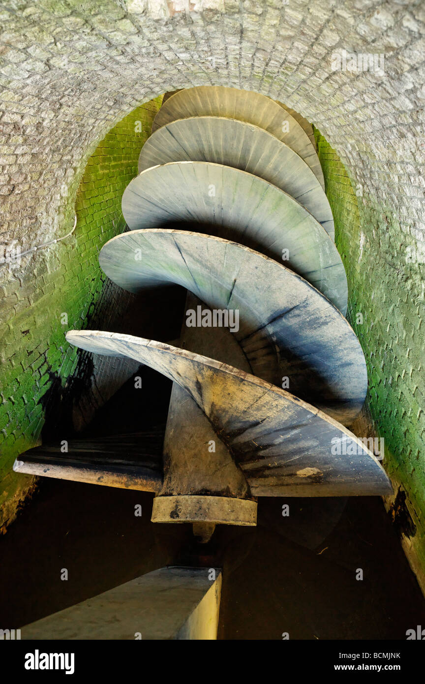 Vite di Archimede nel polder presso il mulino a vento di Schermerhorn, North Holland, Paesi Bassi. Foto Stock