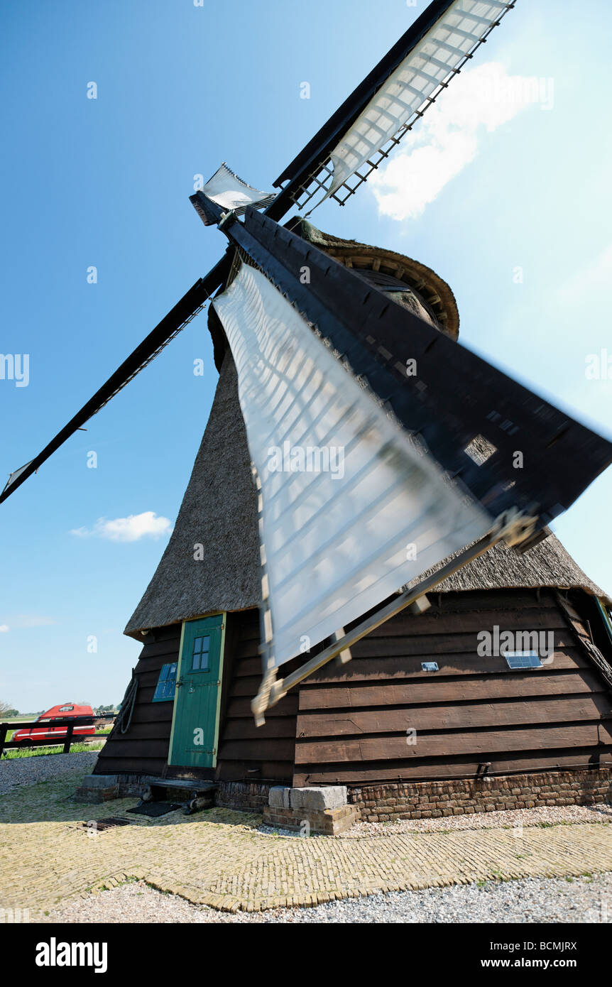 Polder presso il mulino a vento di Schermerhorn Museummolen, North Holland, Paesi Bassi. Foto Stock