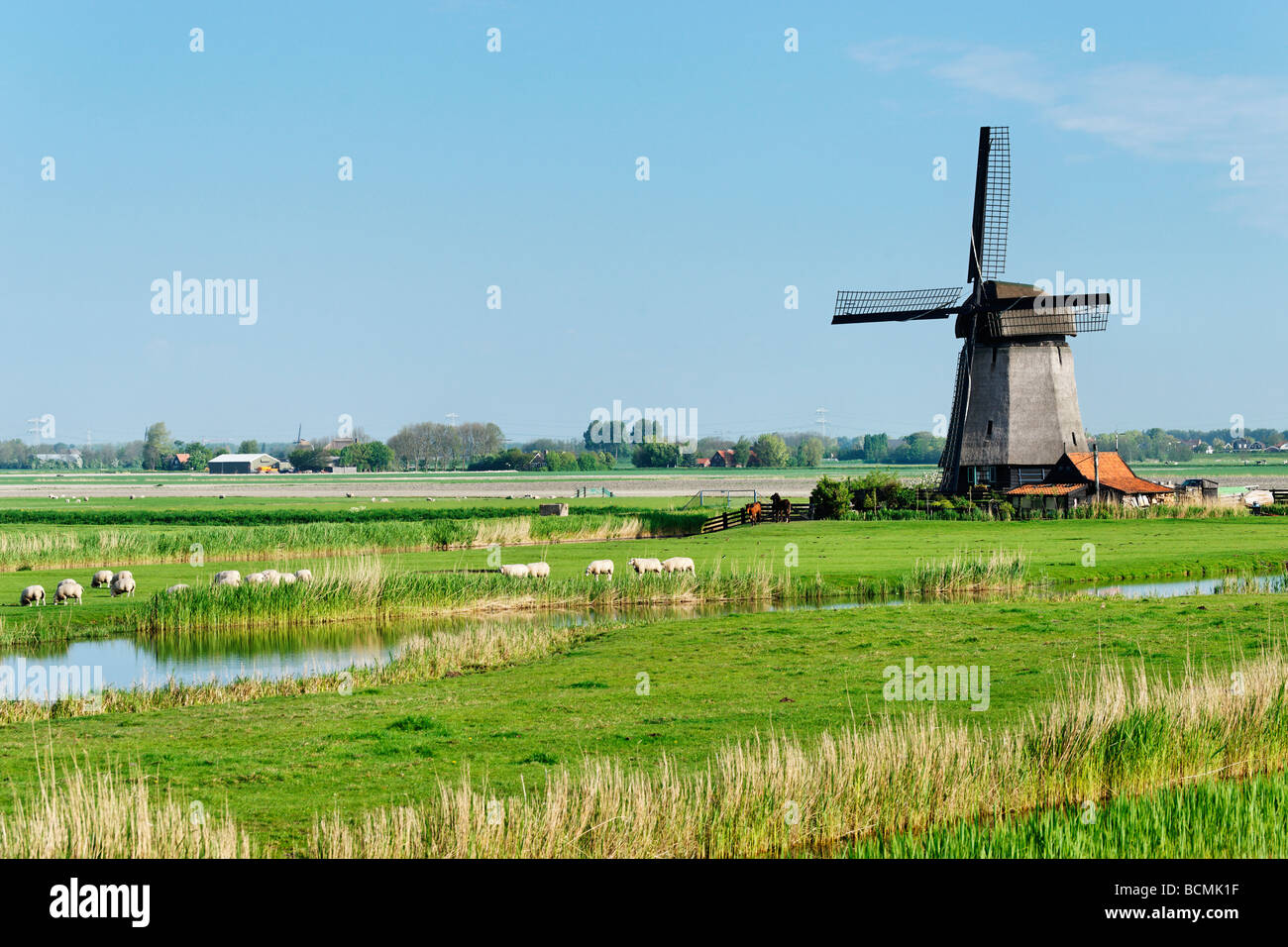 Polder vicino al mulino a vento di Schermerhorn, North Holland, Paesi Bassi. Foto Stock
