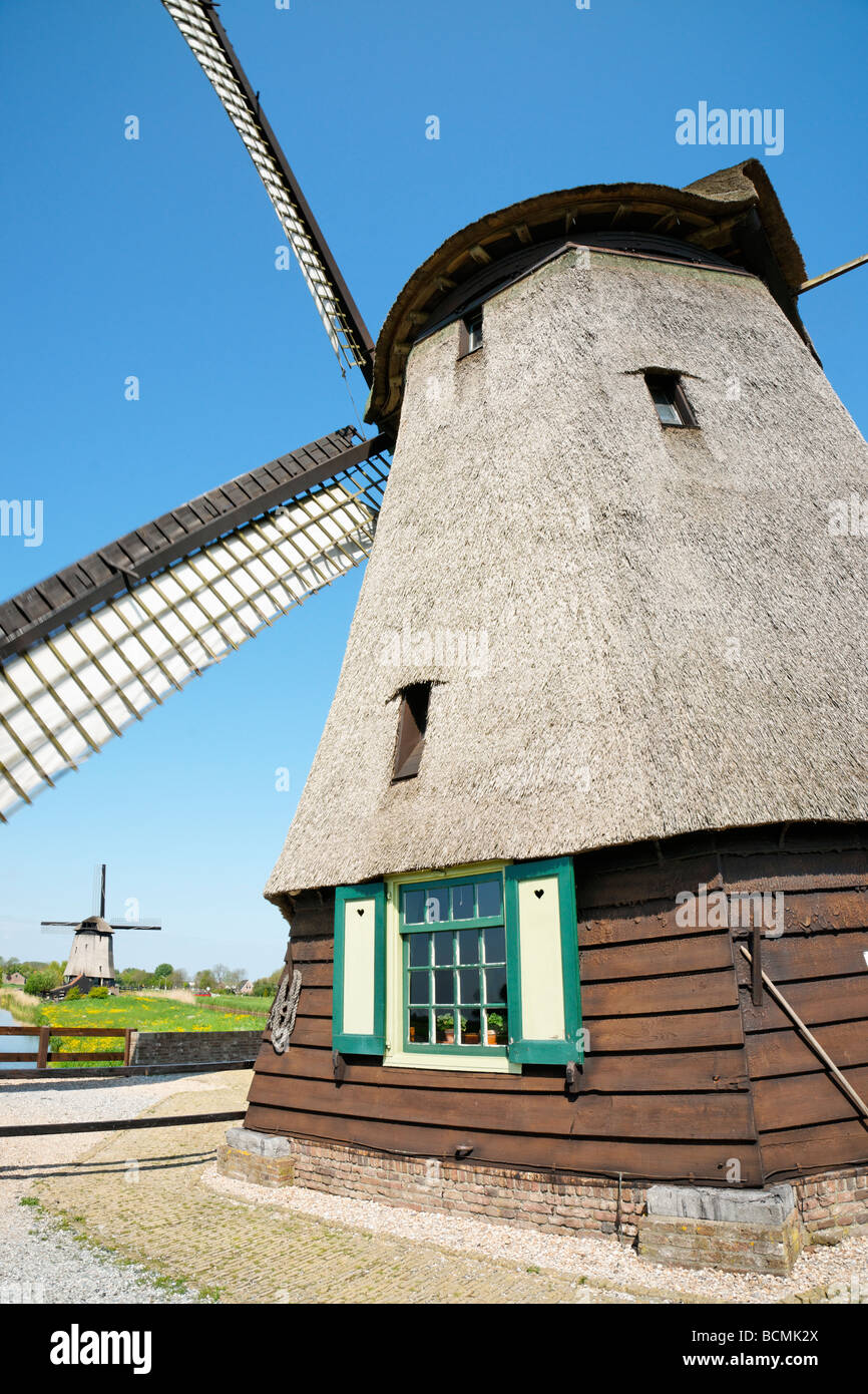 Polder presso il mulino a vento di Schermerhorn Museummolen, North Holland, Paesi Bassi. Foto Stock