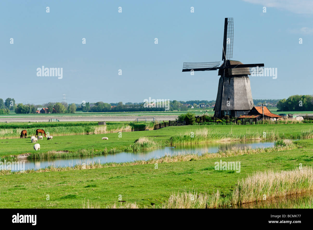 Polder vicino al mulino a vento di Schermerhorn, North Holland, Paesi Bassi. Foto Stock