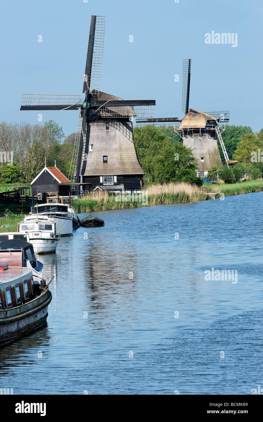 Polder mulini a vento vicino a Rustenburg, North Holland, Paesi Bassi. Foto Stock