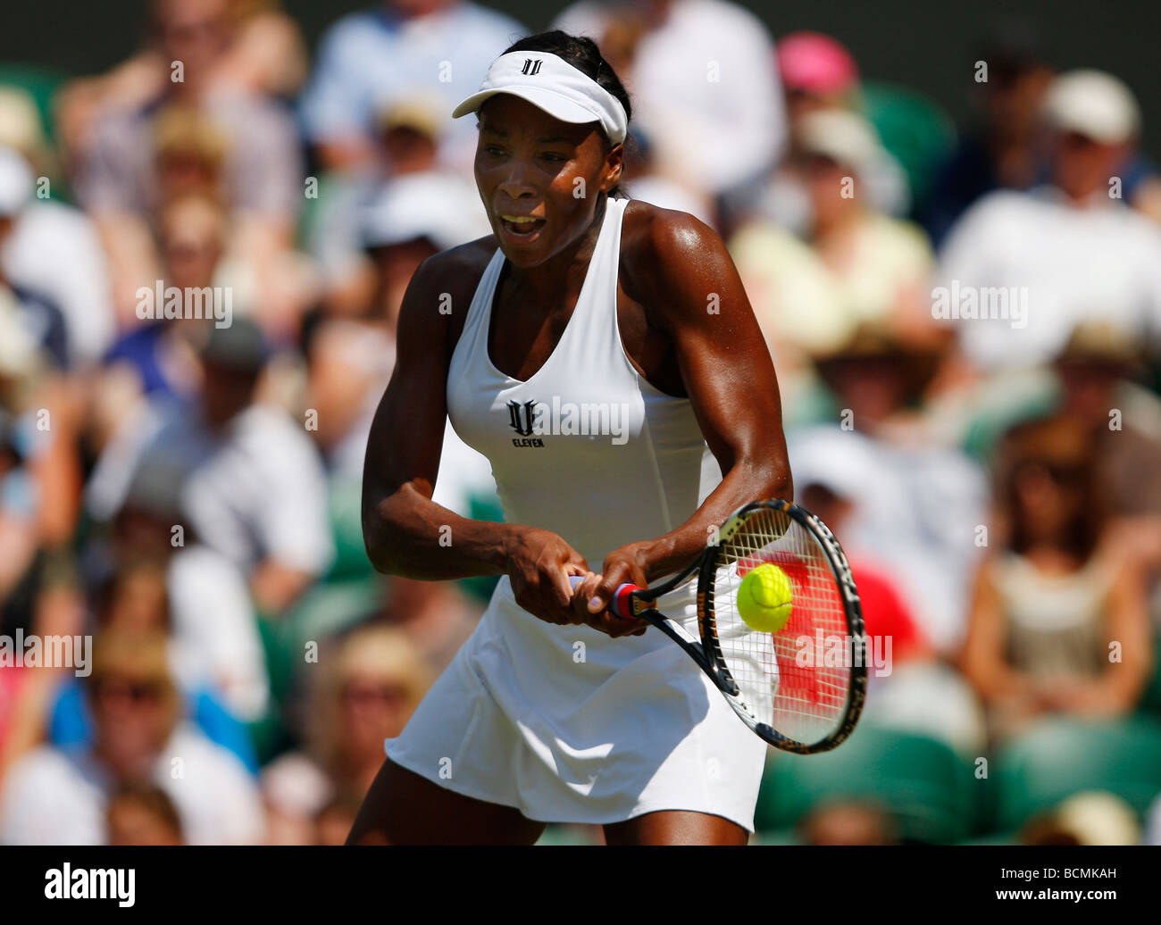 Campionati di Wimbledon 2009, Venus Williams USA in azione Foto Stock