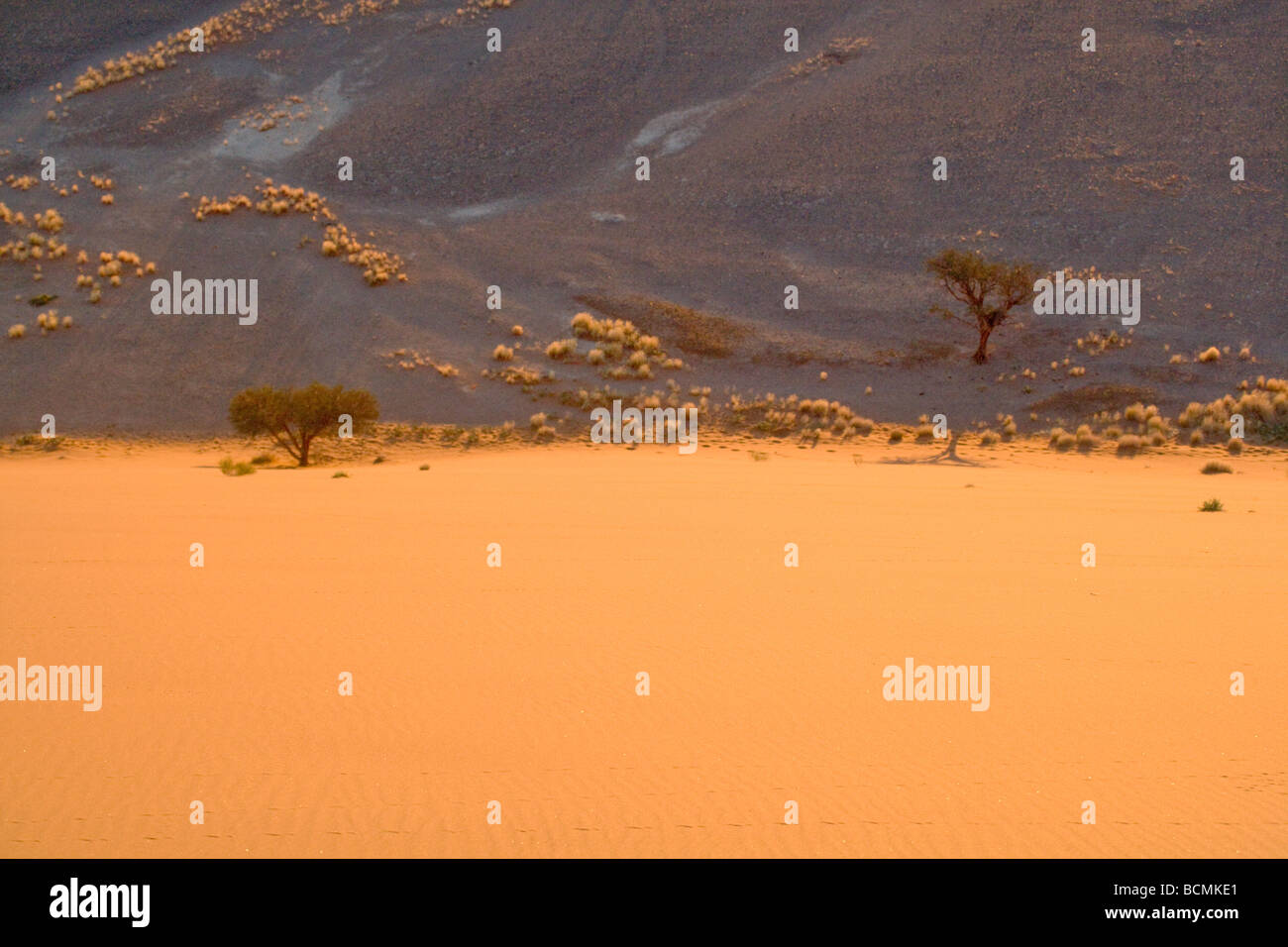 Sunrise in Sossusvlei le dune di sabbia del deserto del Namib Namibia Africa Foto Stock