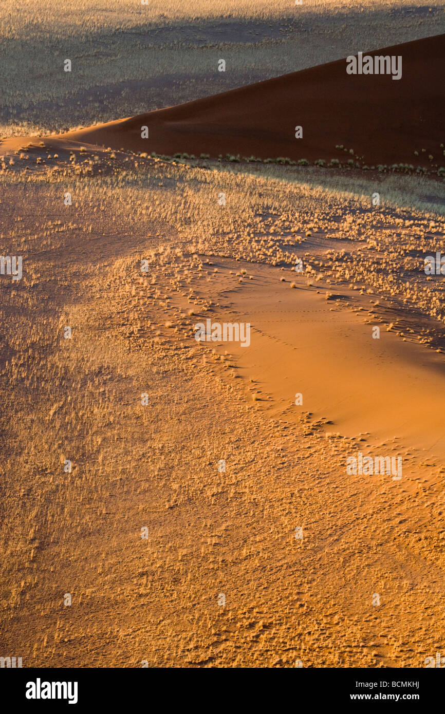 Sunrise in Sossusvlei le dune di sabbia del deserto del Namib Namibia Africa Foto Stock