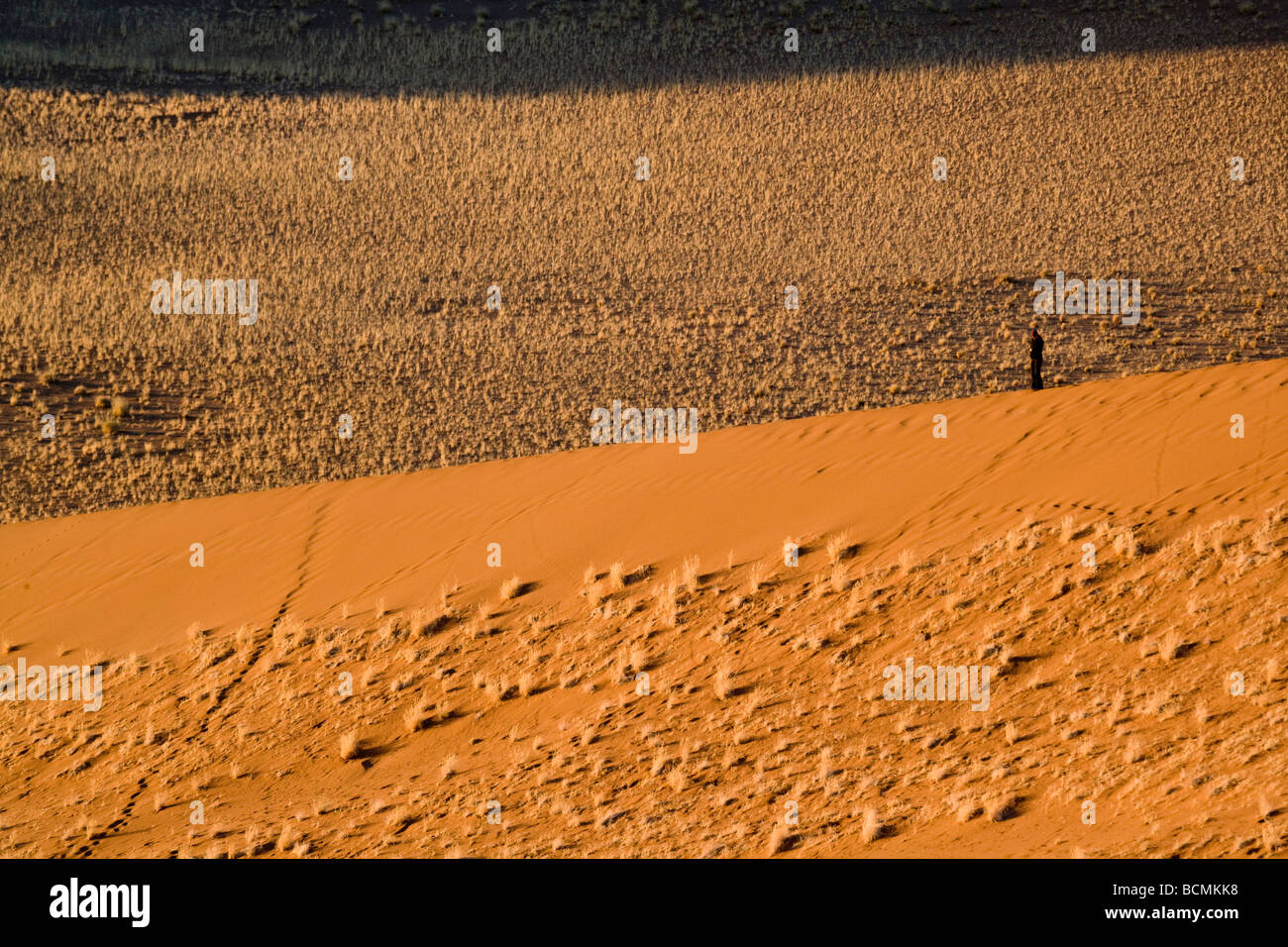 Sunrise in Sossusvlei le dune di sabbia del deserto del Namib Namibia Africa Foto Stock