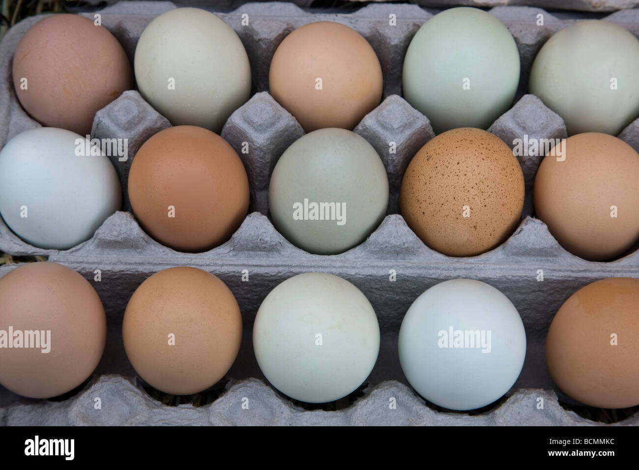 Uova di gallina, colori naturali in cartone. Foto Stock