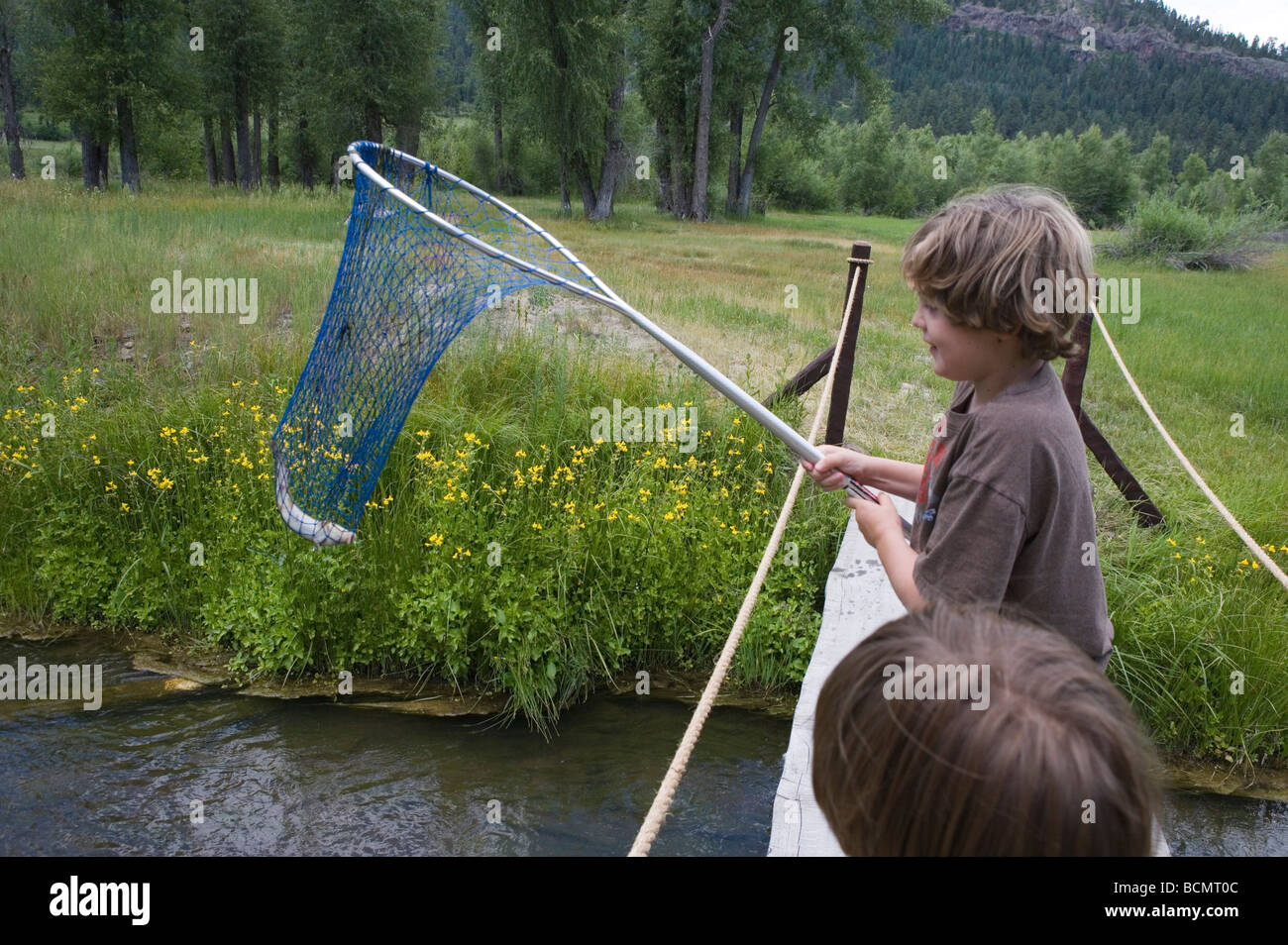 Dieci anni di vecchio ragazzo tenendo un net subito dopo la cattura di un pesce gatto in un flusso Foto Stock