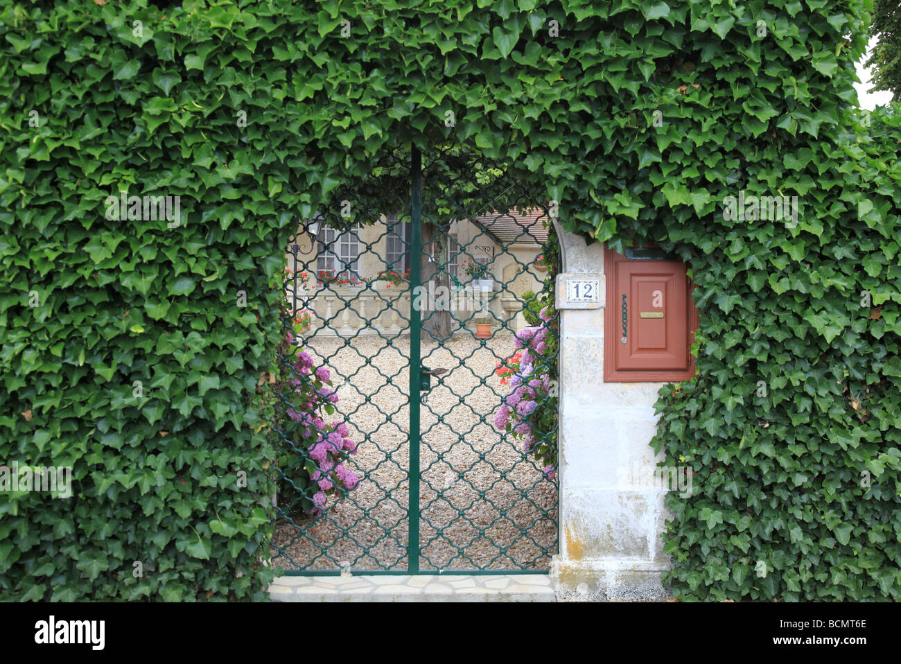 Cancello coperto di edera in Francia Foto Stock