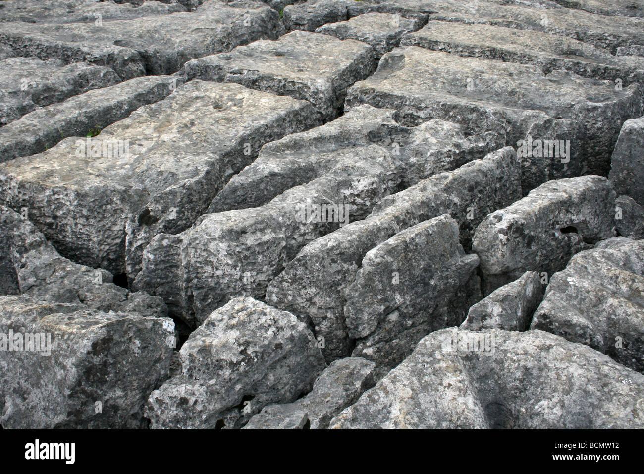 E Clints Grikes nella pavimentazione di pietra calcarea a Malham Cove, nello Yorkshire, Inghilterra, Regno Unito Foto Stock