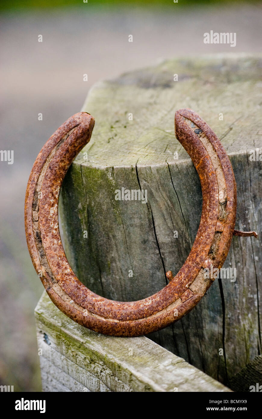 Ferro di cavallo appoggiata su di un palo da recinzione Foto Stock