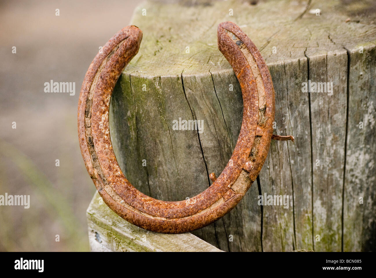 Ferro di cavallo appoggiata su di un palo da recinzione Foto Stock