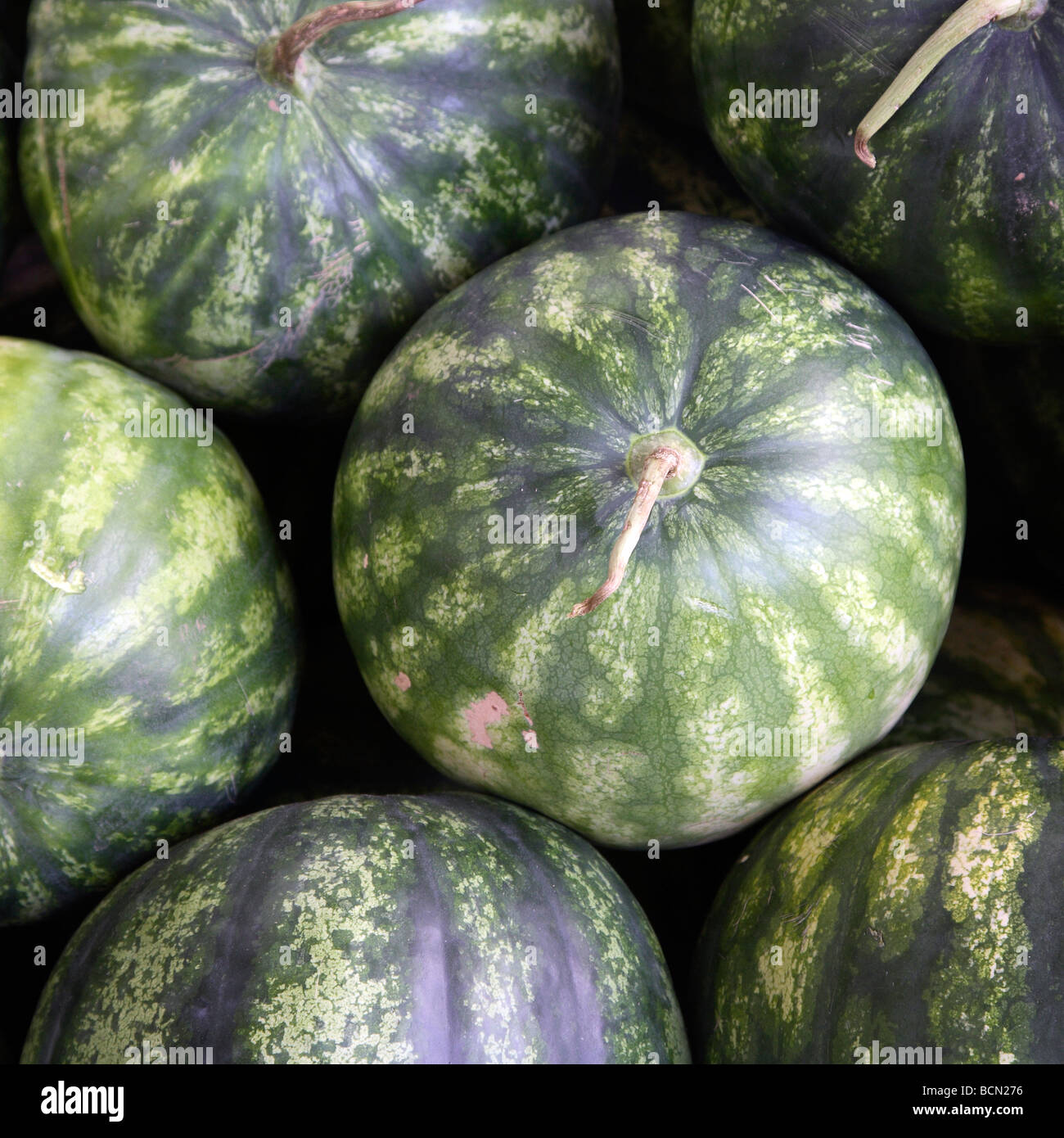 I cocomeri di stallo del mercato FETHIYE Turchia Foto Stock