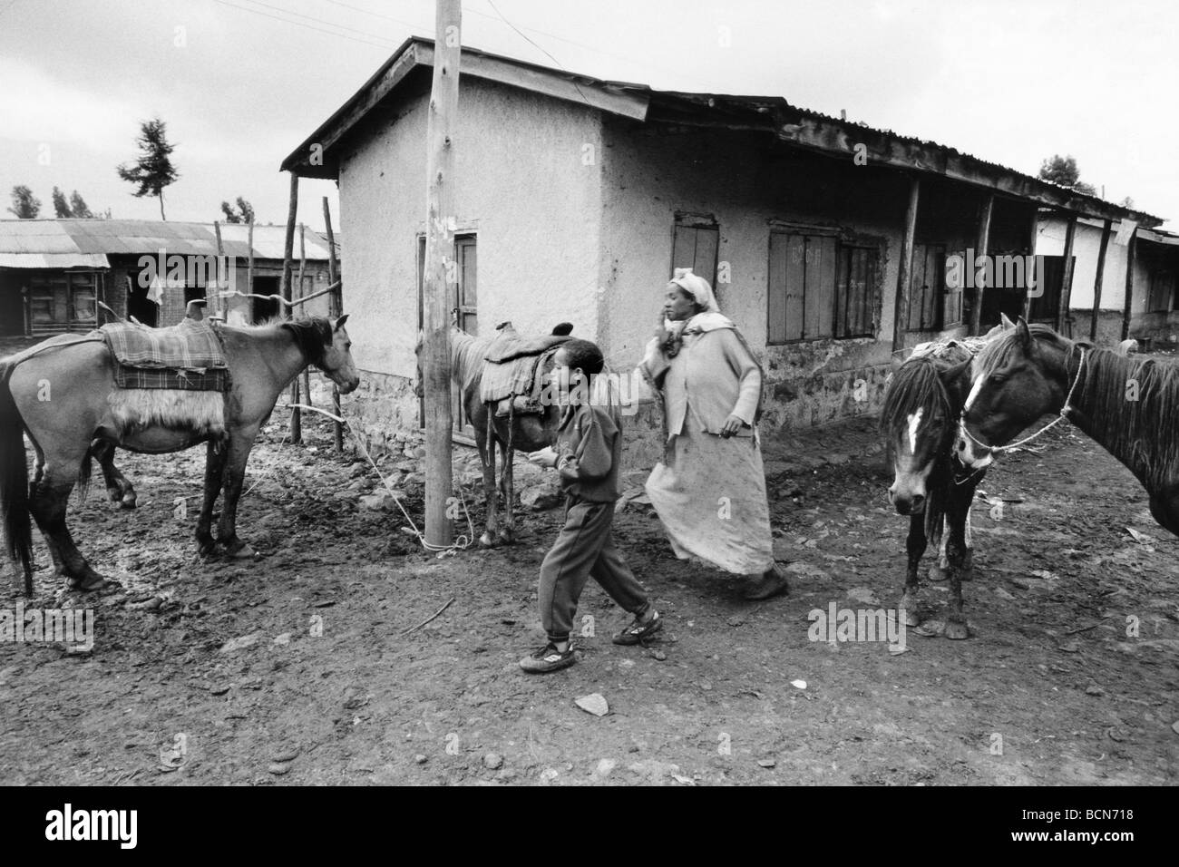 Etiopia altopiano della balla goba Foto Stock