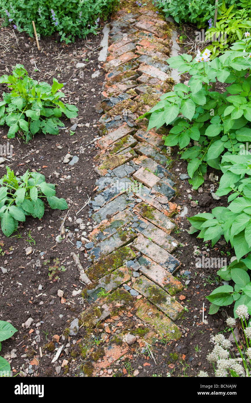 Percorso di giardino in mattoni a spina di pesce pattern Foto Stock