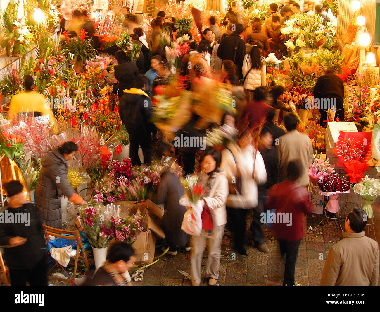 Persone che acquistano i fiori in fiore locale e mercato di animali domestici per il Capodanno cinese di Shanghai, Cina Foto Stock