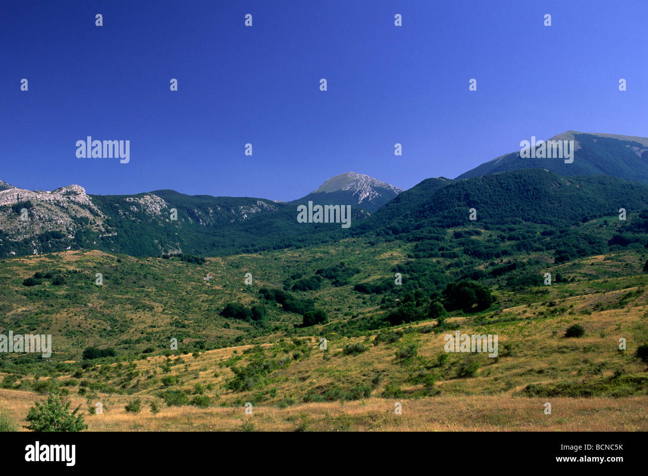 Italia, Basilicata, Parco Nazionale del Pollino Foto Stock