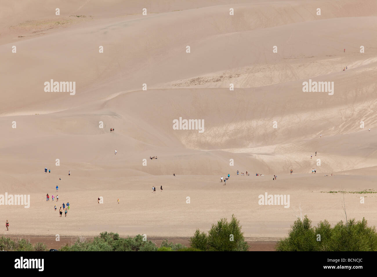 Mosca Colorado persone escursione sulle dune di sabbia in grandi dune di sabbia del Parco Nazionale Foto Stock