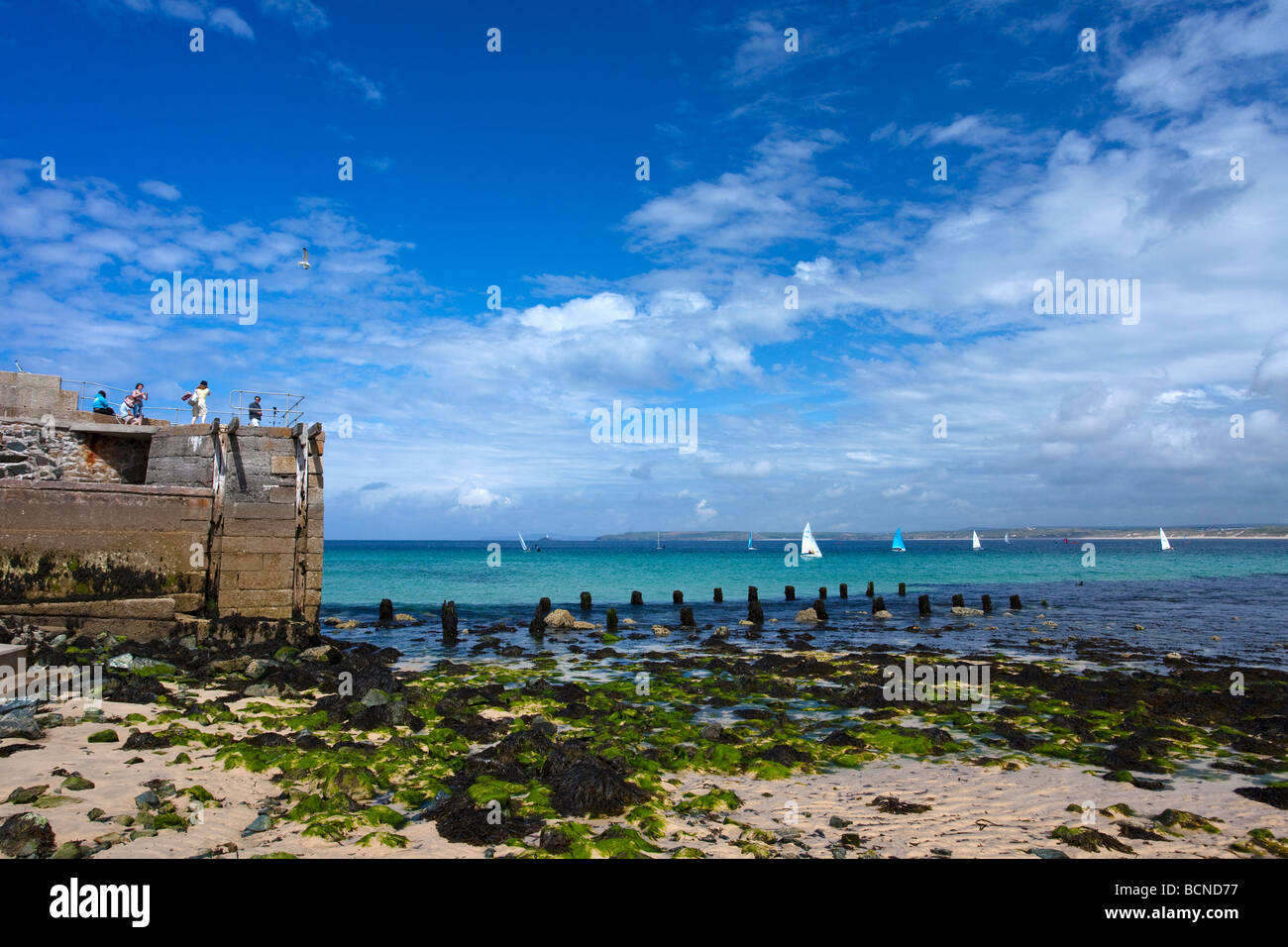 St Ives in porto sole estivo Penwith West Cornwall Inghilterra UK Regno Unito GB Gran Bretagna Isole Britanniche Europa UE Foto Stock