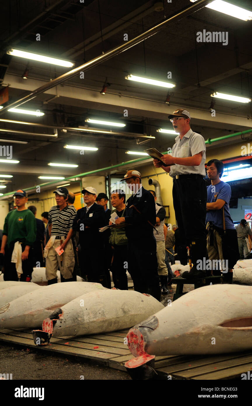 I commercianti d'aste su righe di tonno congelato a Tsukiji più grande del mondo al mercato del pesce centrale di Tokyo Giappone Foto Stock