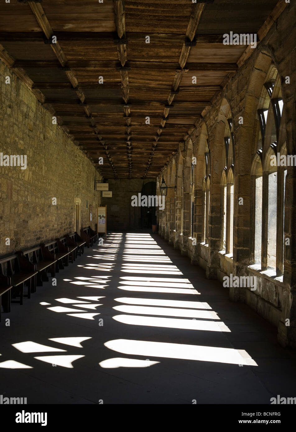 Il chiostro della Cattedrale di Durham, England, Regno Unito Foto Stock