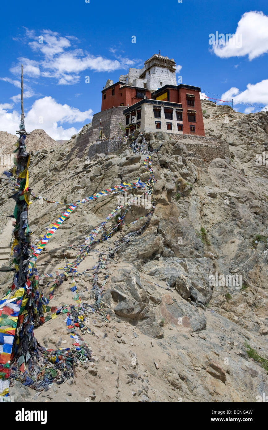 Namgyal Tsemo Gompa. Leh. Ladakh. India Foto Stock