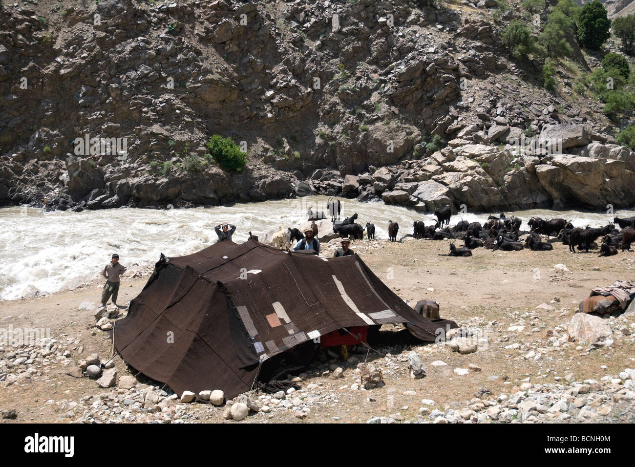 Una tenda nera e capre accanto al che scorre veloce Panjshir fiume contrassegnare un nomade famiglia Kuchi accampamento dell Foto Stock