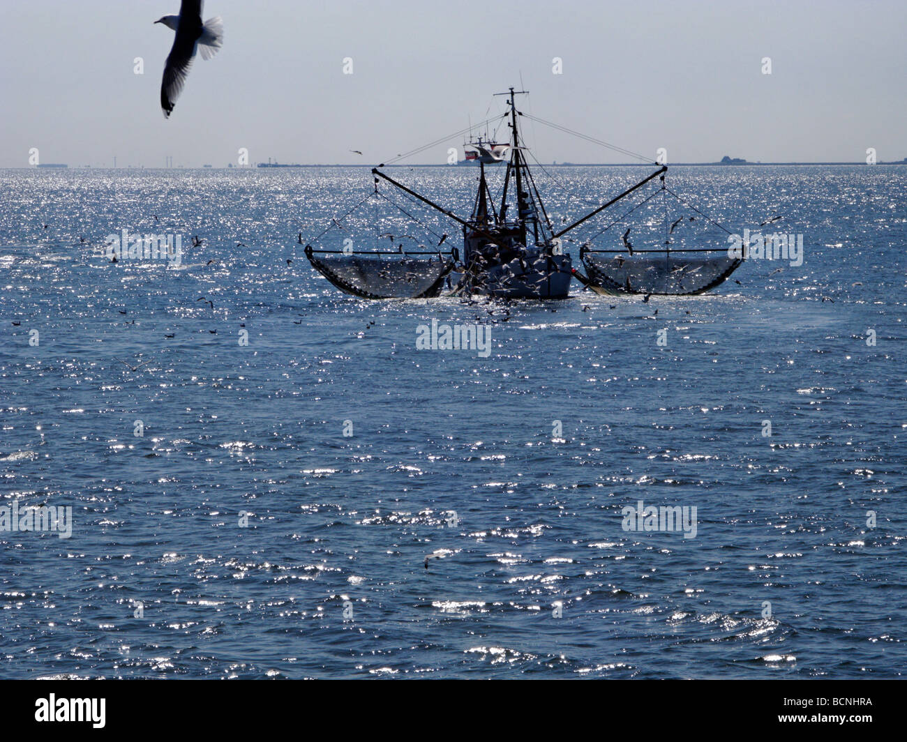 La pesca dei gamberetti pescherecci con reti da traino che operano nel Mare  del Nord fuori del Nord Isole Frisone Germania Foto stock - Alamy