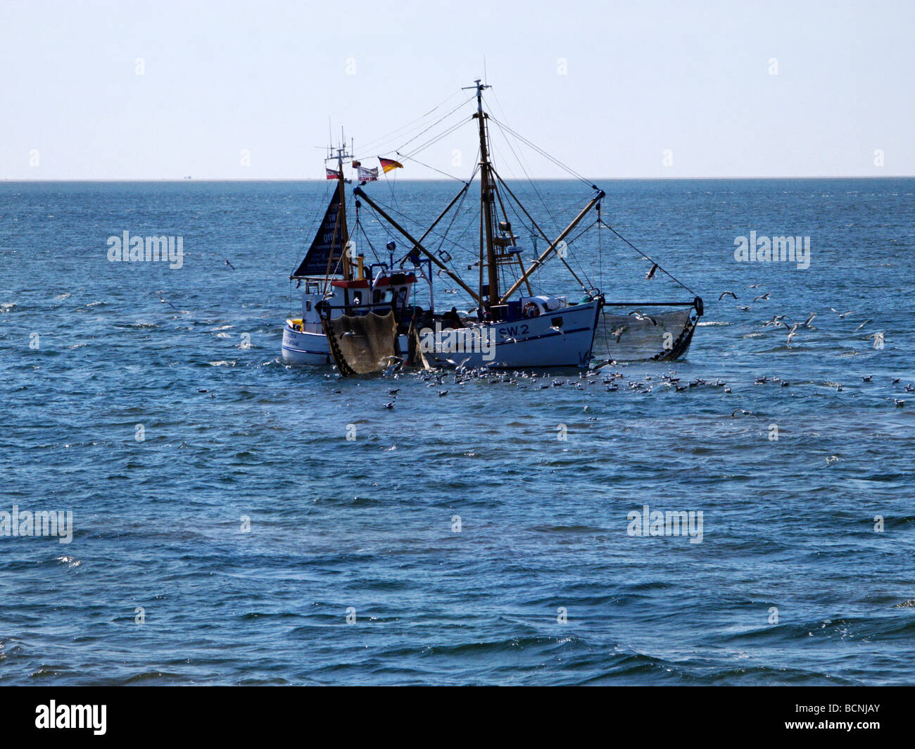 La pesca dei gamberetti pescherecci con reti da traino che operano nel Mare del Nord fuori del Nord Isole Frisone Germania Foto Stock